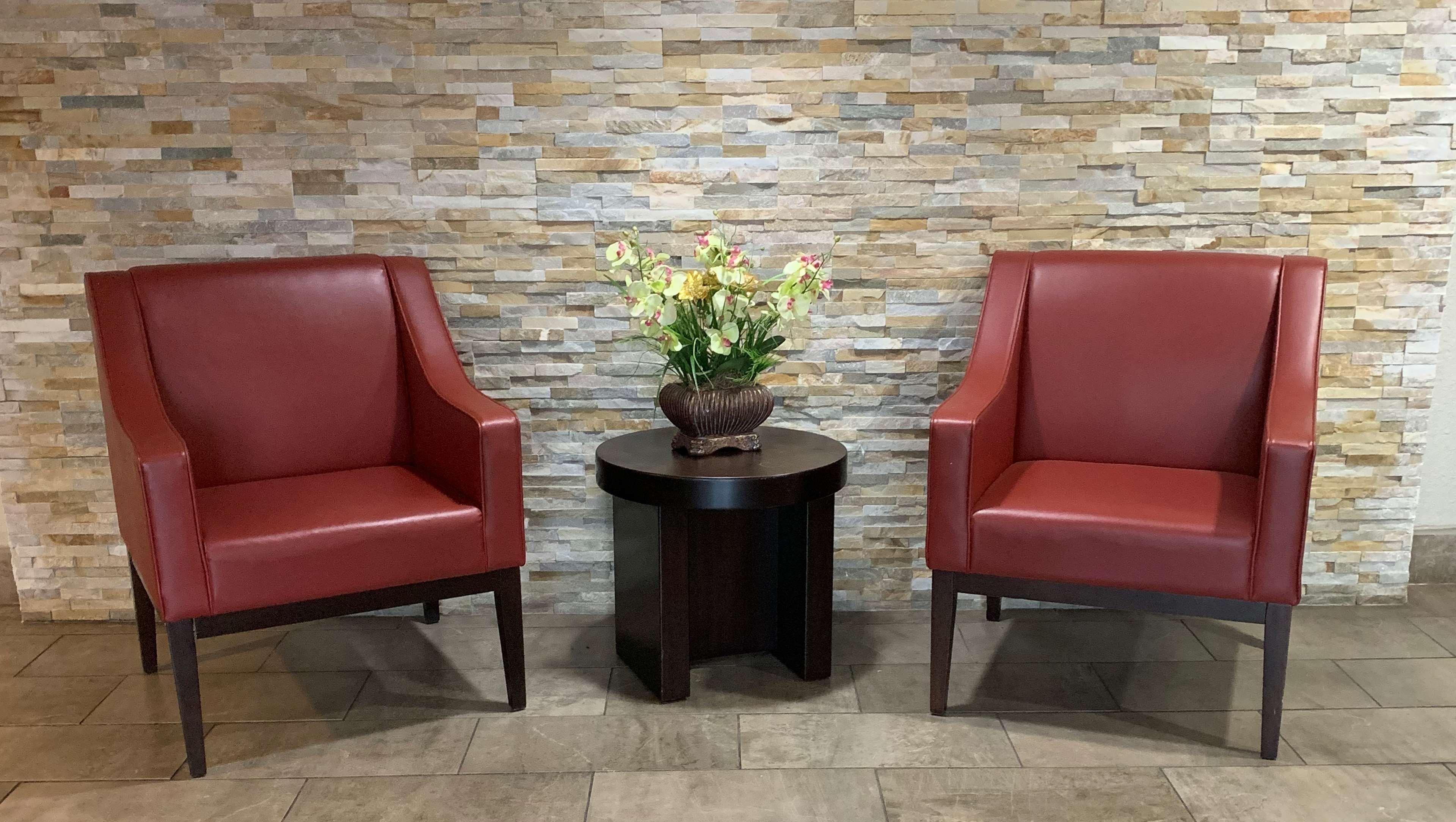 Quality Inn & Suites I-10 Near Fiesta Texas Сан Антонио Екстериор снимка