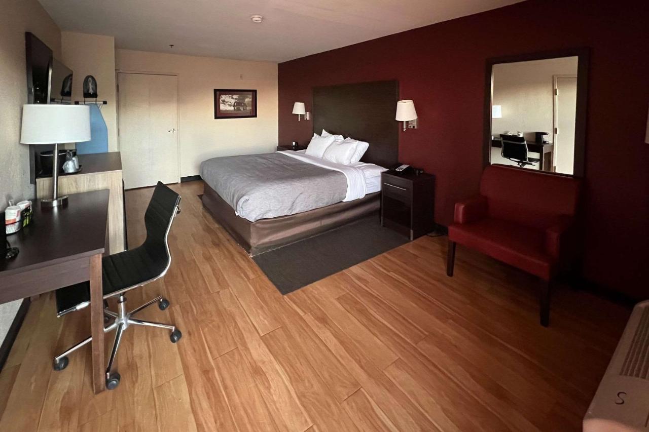 Quality Inn & Suites I-10 Near Fiesta Texas Сан Антонио Екстериор снимка